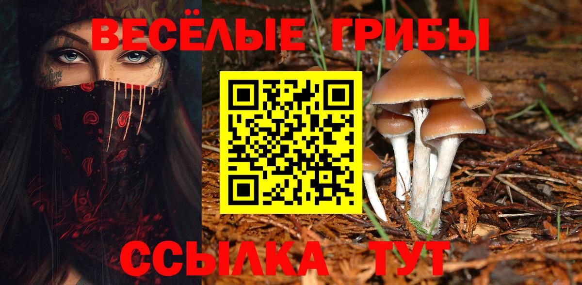 Галлюциногенные грибы ЛСД Саранск