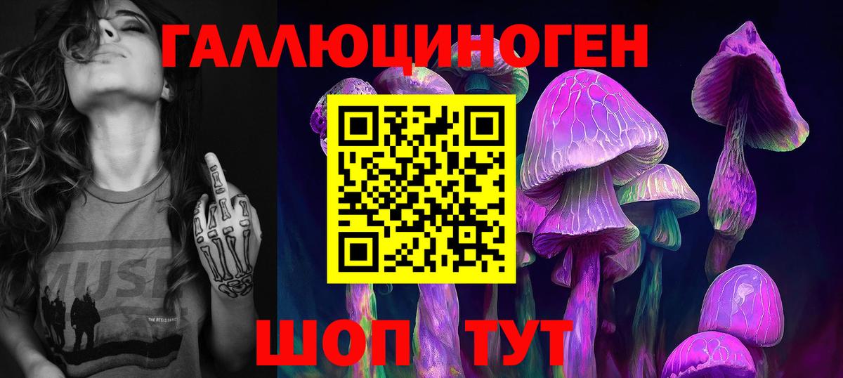 Псилоцибиновые грибы Psilocybe  Вход с VPN  Галлюциногенные грибы Psilocybe  Саранск 